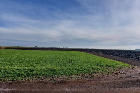 Land for sale, Whittlesey Road, Turves, March