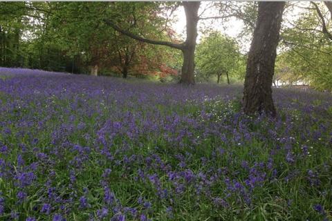 Bowood Bashurst Copse, Itchingfield, Horsham, RH13 0NZ