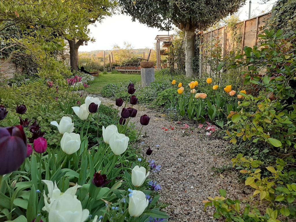 Garden In Bloom