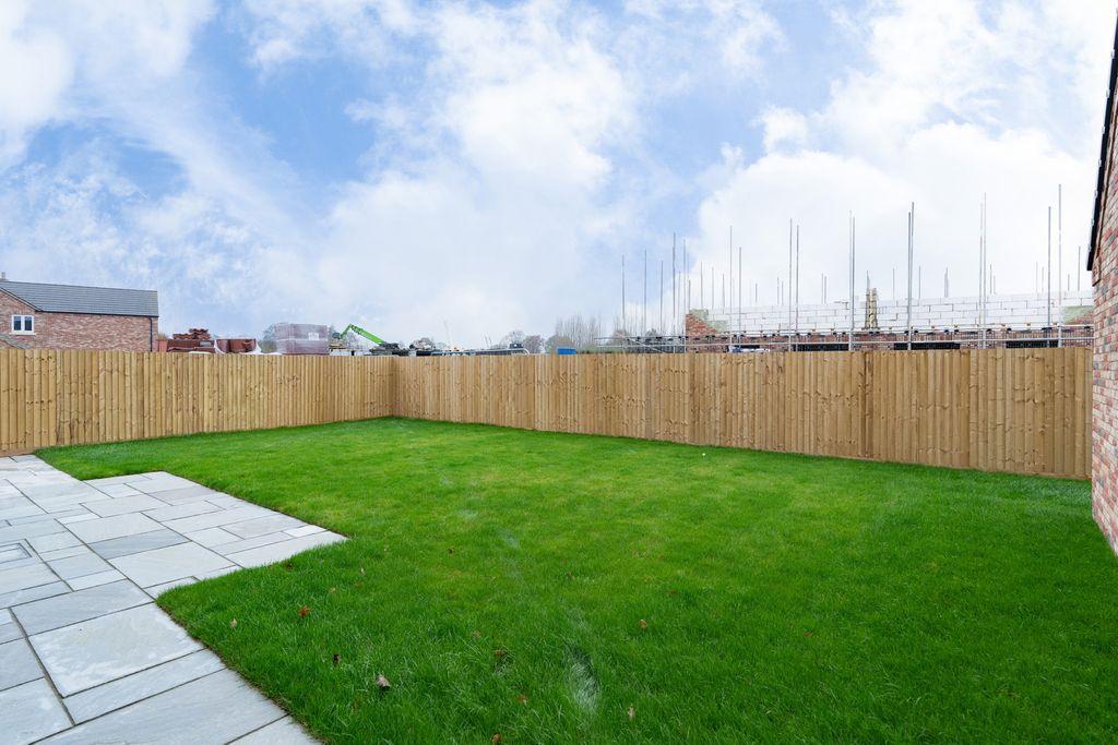 Garden at Back