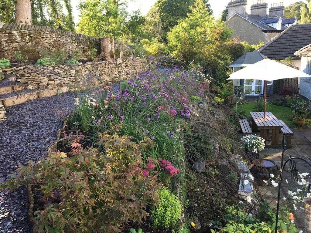 Rear garden in summer