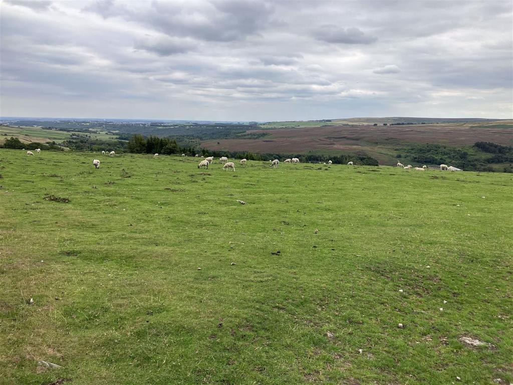 Land off Rod Side, Hollow Meadows, Sheffield, S6 6GN Land £190,000