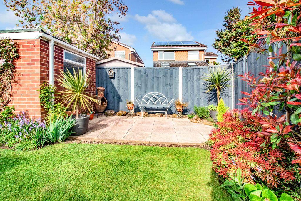 Garden at Back