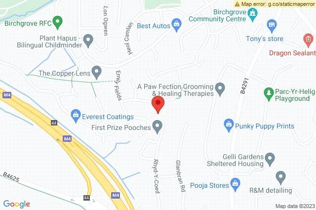 Google Maps Image
