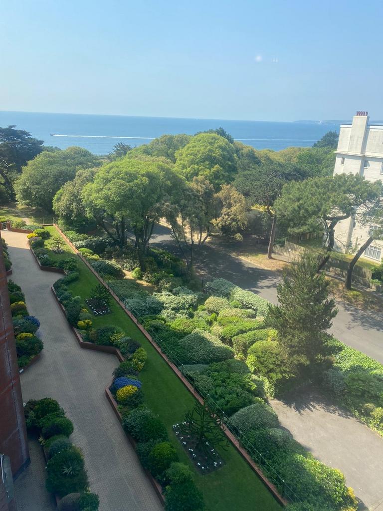 View from Kitchen Window