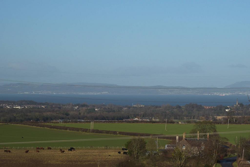MFL6224107 532.jpg