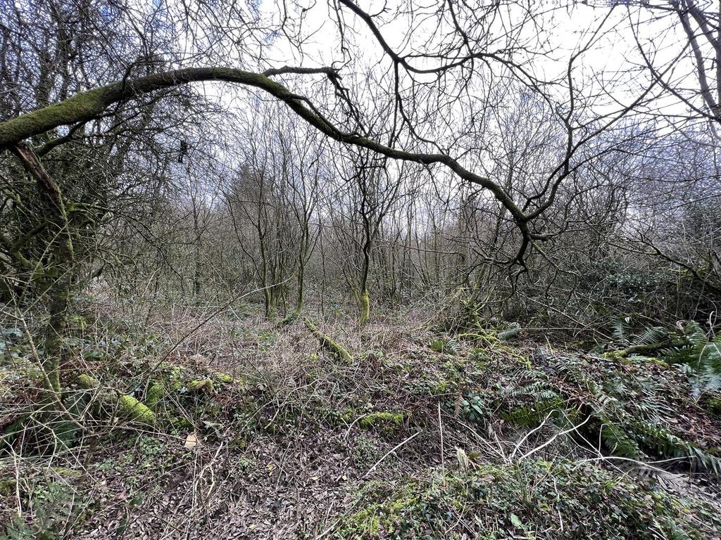 Img 6306.jpg