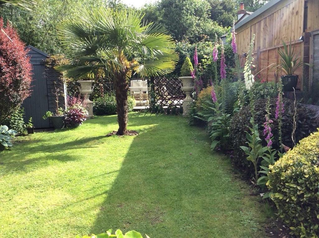 Garden in summer