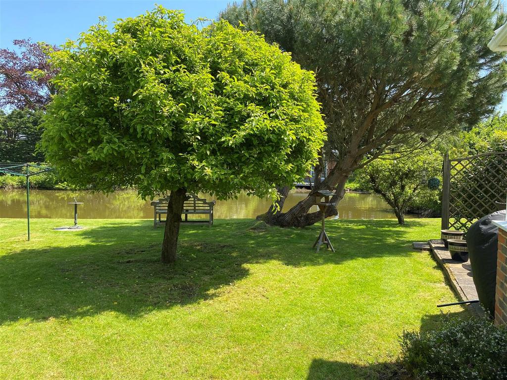 Garden 6.jpg