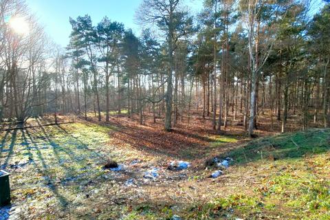 Land to rent - 1  Acre Land and Basement on Potton Road, SANDY, BEDFORDSHIRE, SG19