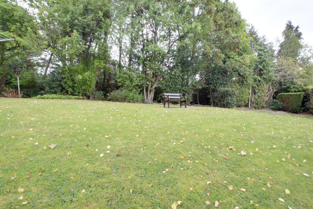Further garden views in the summer.