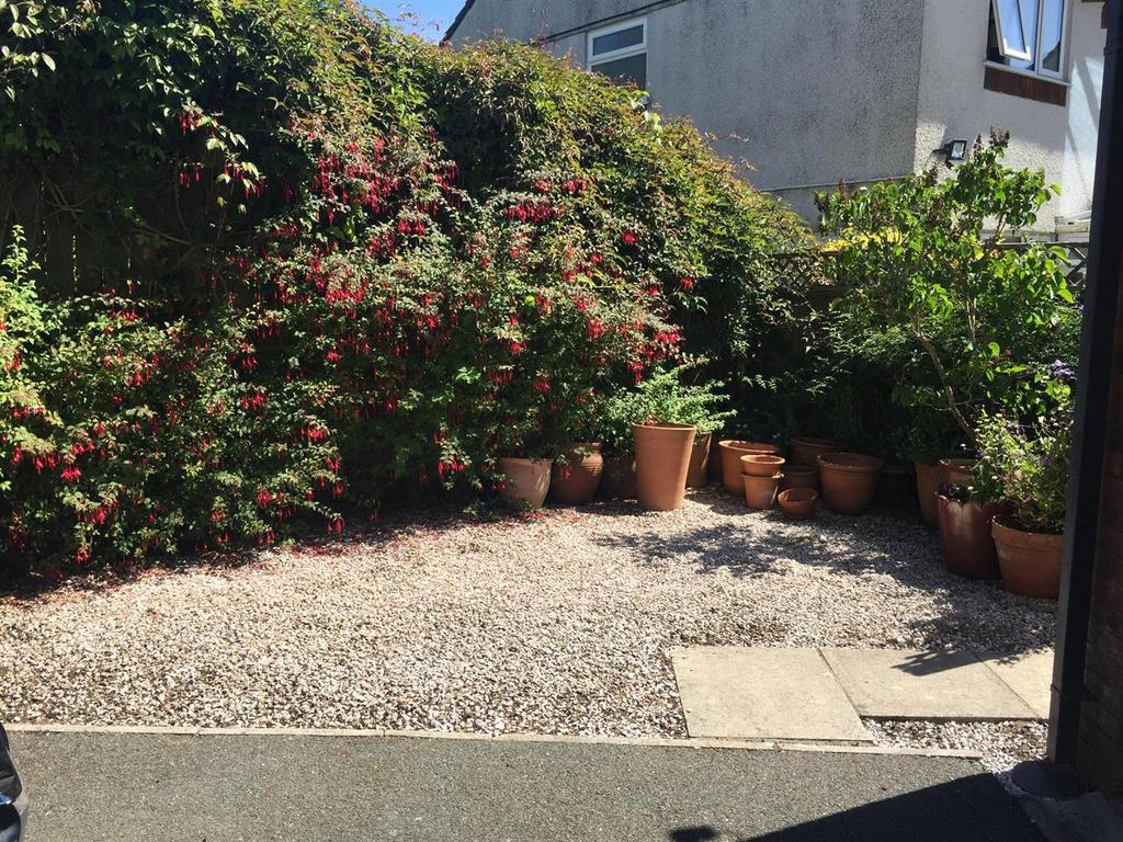 Garden 1.JPG