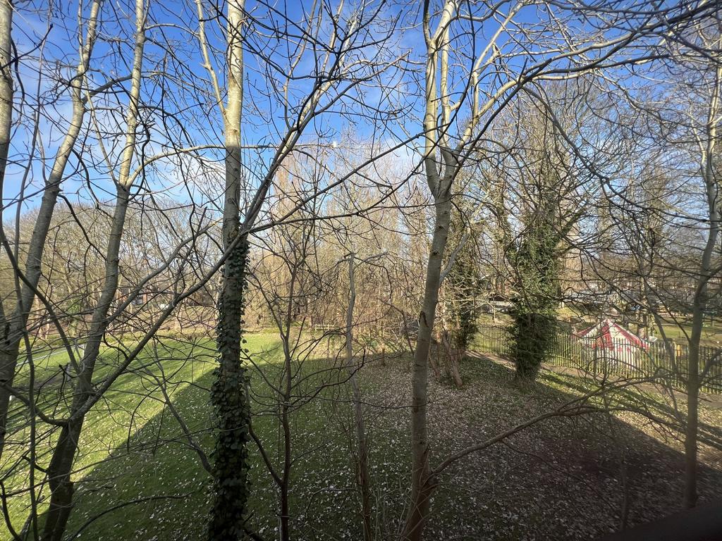 View From Bedroom