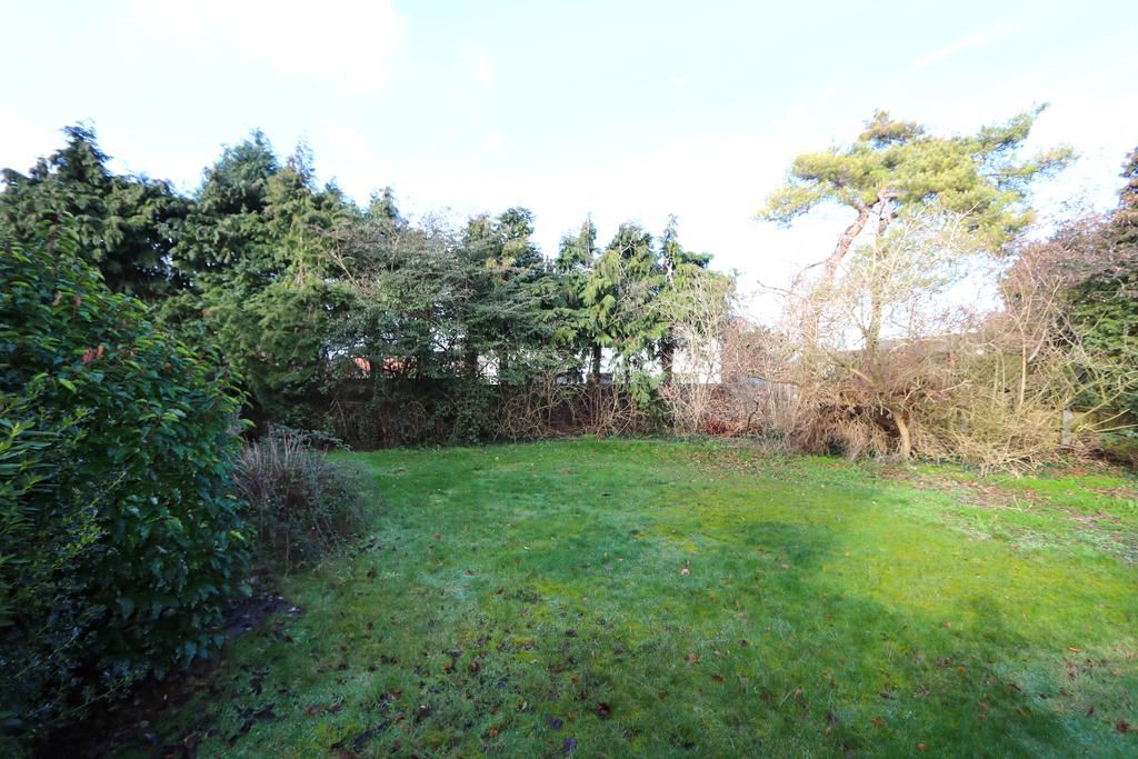 Rear Garden T202302151008.jpg