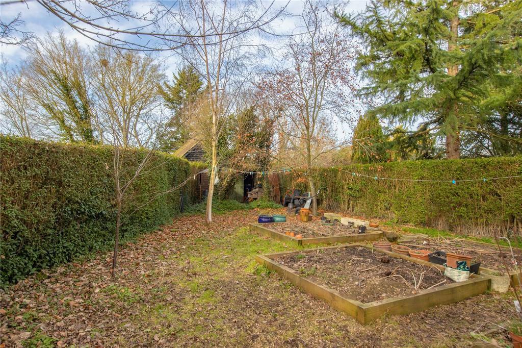 Garden Behind Garage