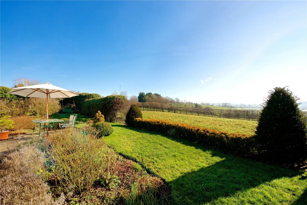Garden/View