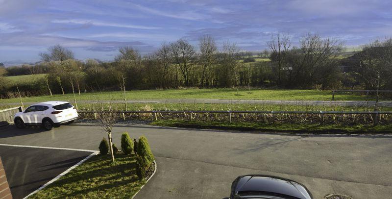 Front landscape