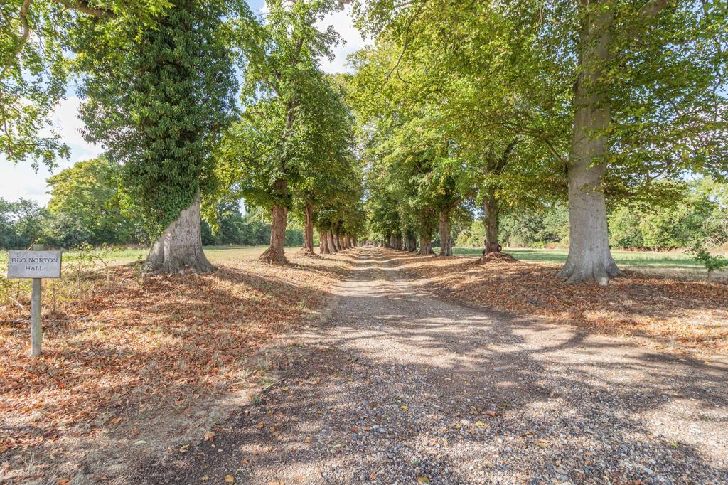 Driveway
