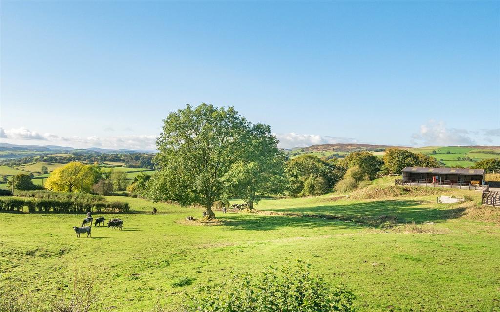 Land & View