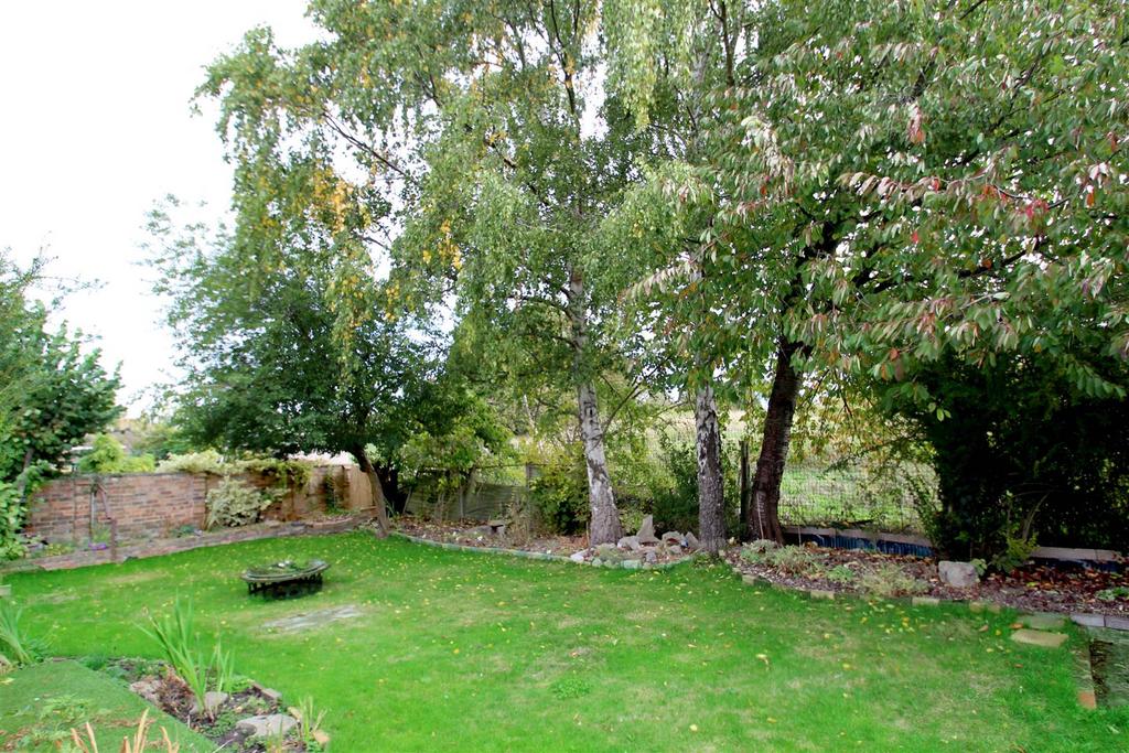 Garden.jpg