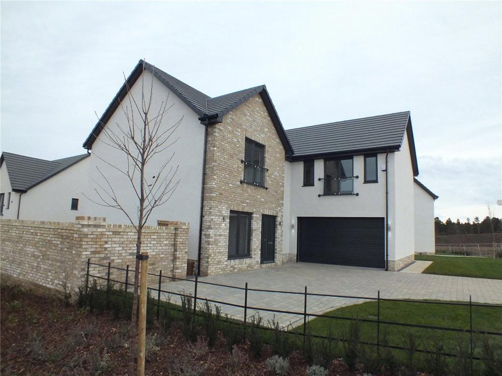 Rear Elevation