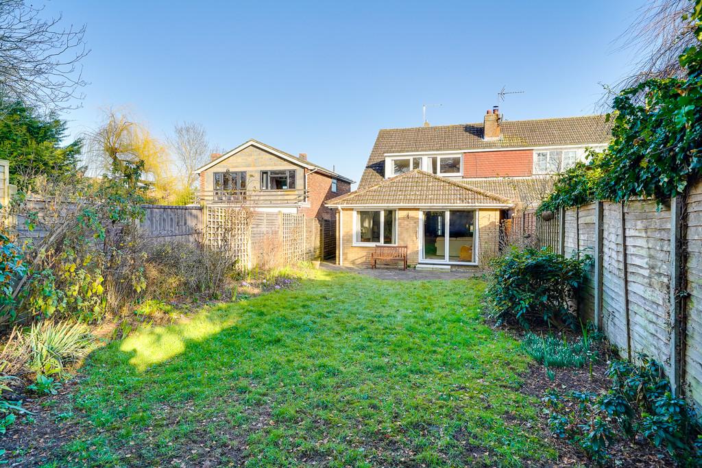 Back Garden