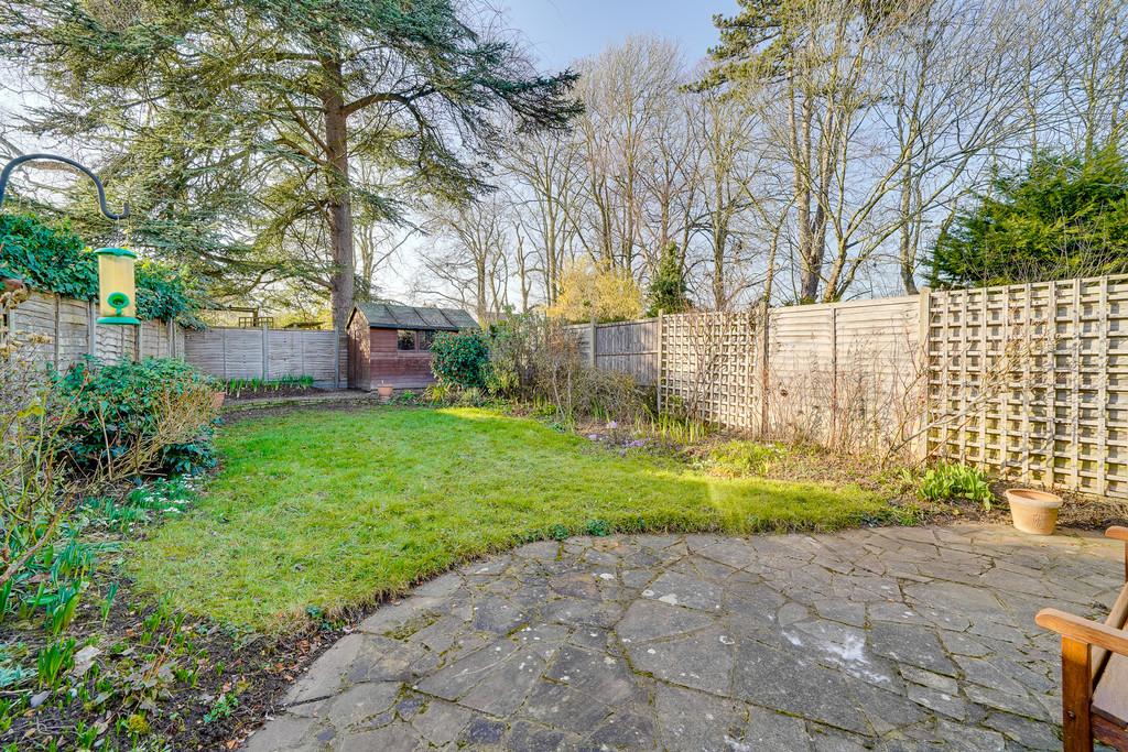 Back Garden