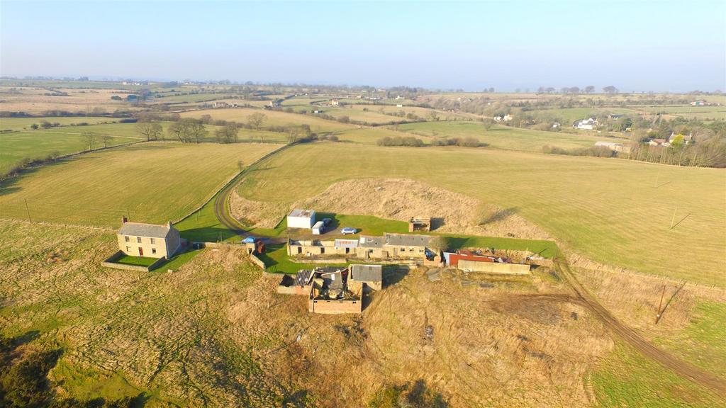 Dji 0388.jpg