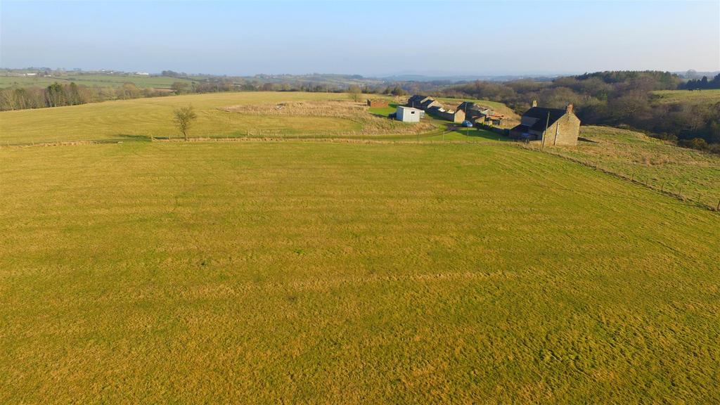 Dji 0340.jpg