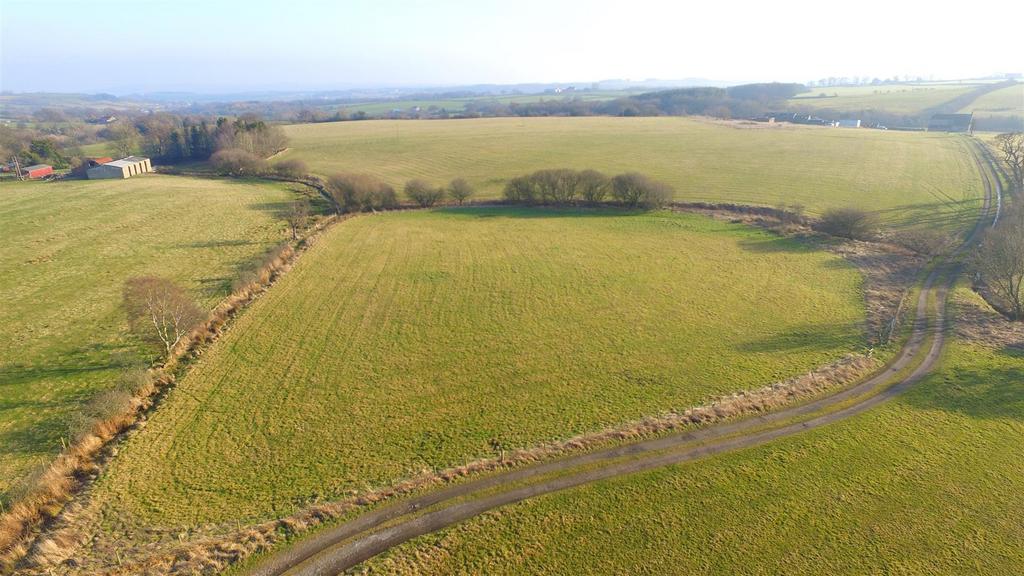 Dji 0370.jpg