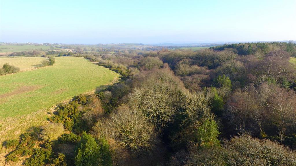 Dji 0349.jpg
