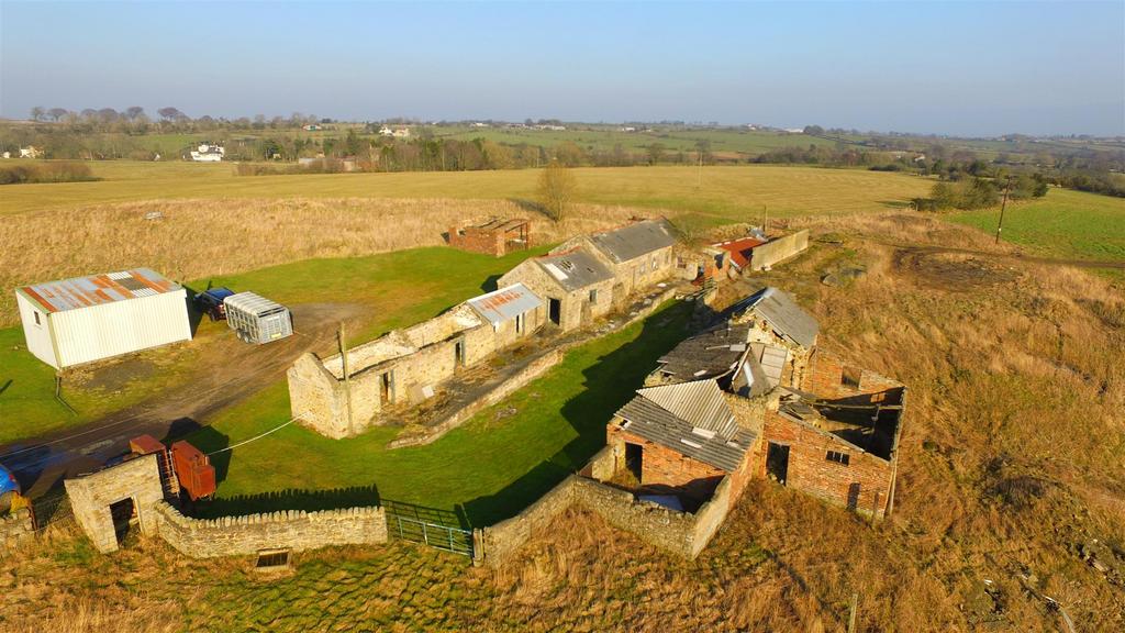 Dji 0330.jpg