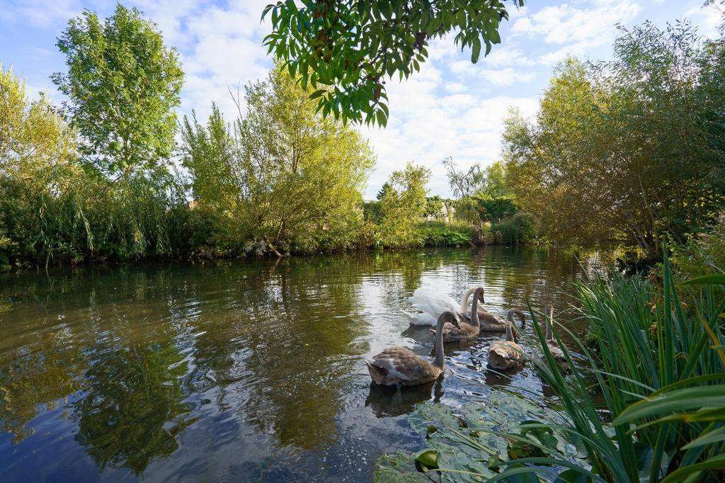 Letcombe Brook