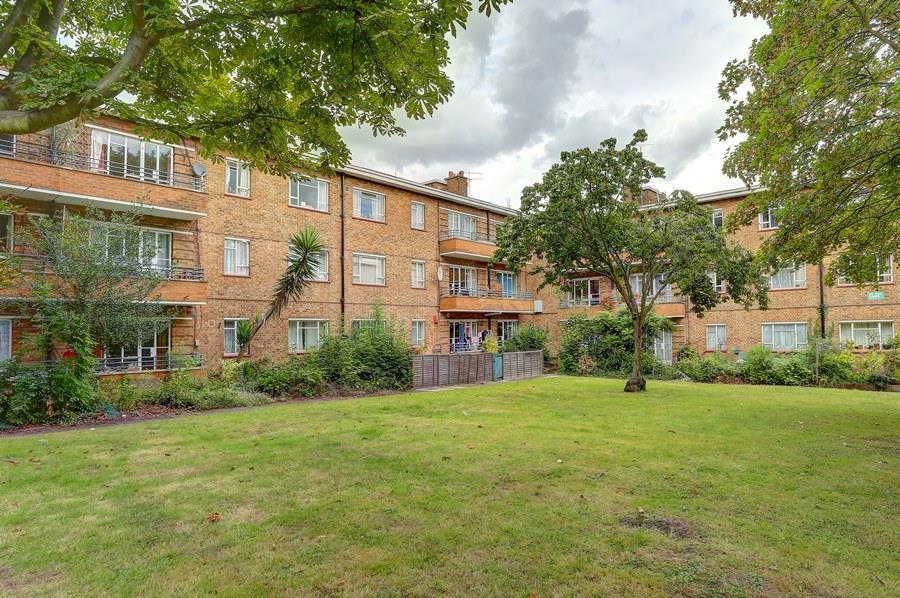24 lane court ext.jp