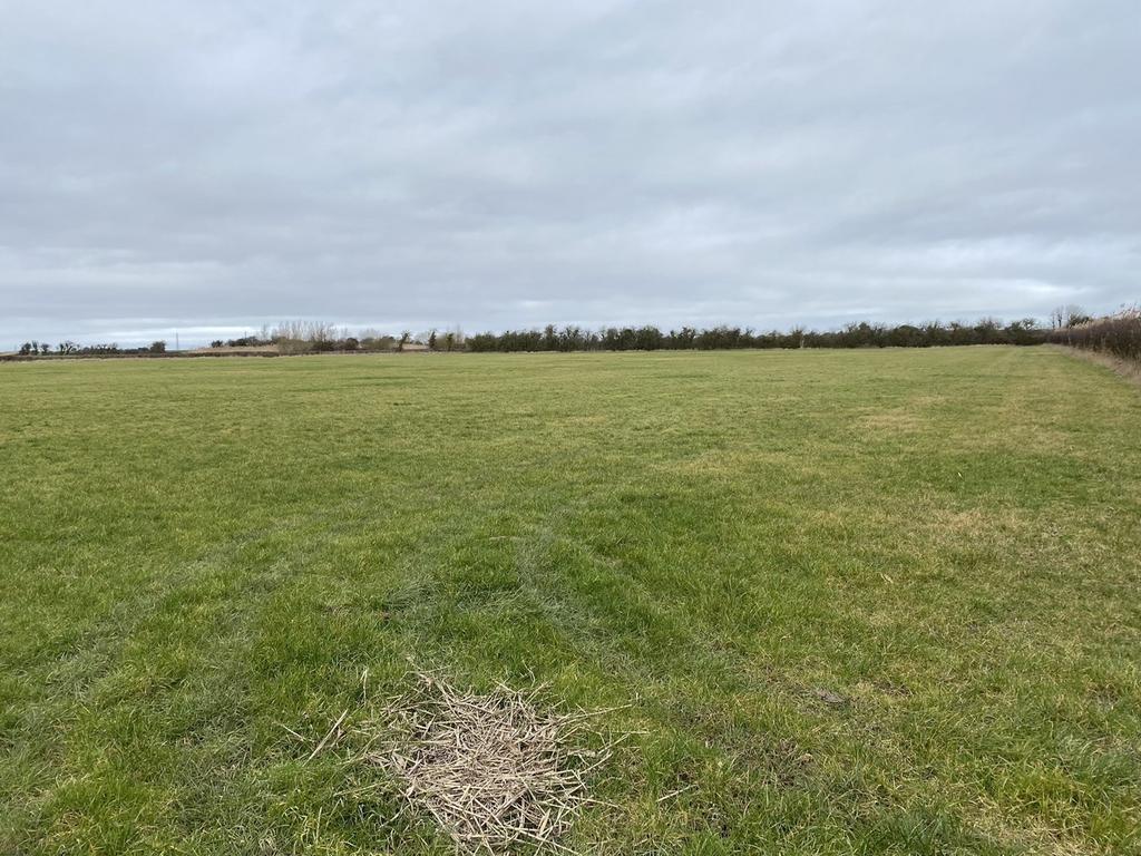 Lot A Perry Green, Wembdon, TA5 Farm land £45,000