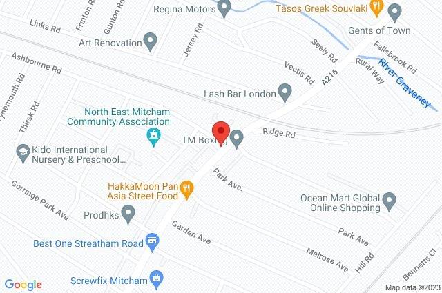 Google Maps Image