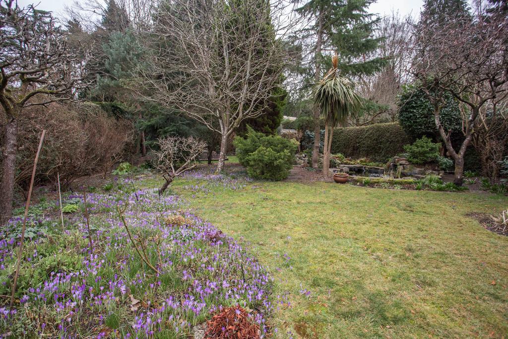 Garden with bulbs and shed