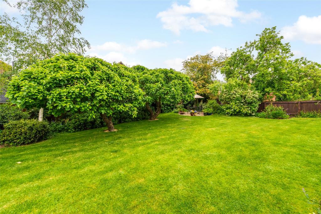 Rear Lawn