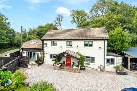 undefined, East Putford, Holsworthy, Devon