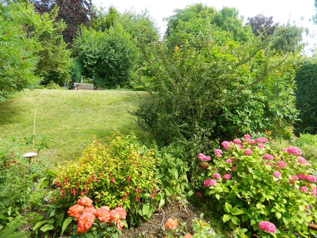 Photo 23
