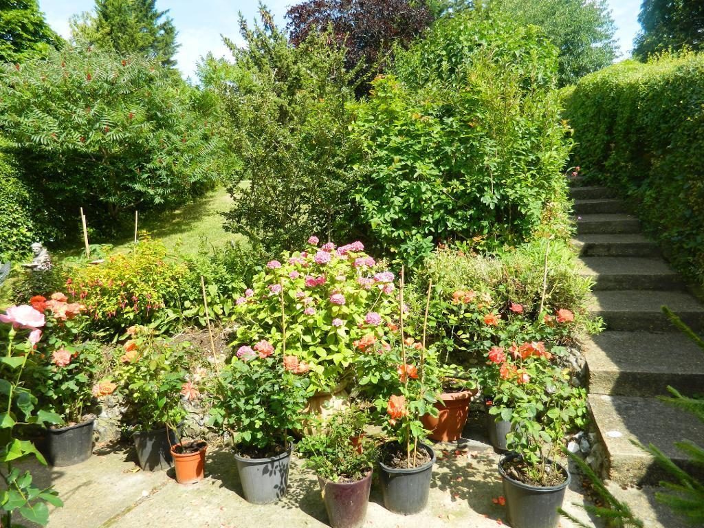 Photo 26