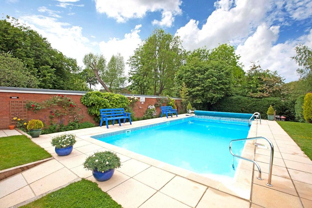 Communal Pool