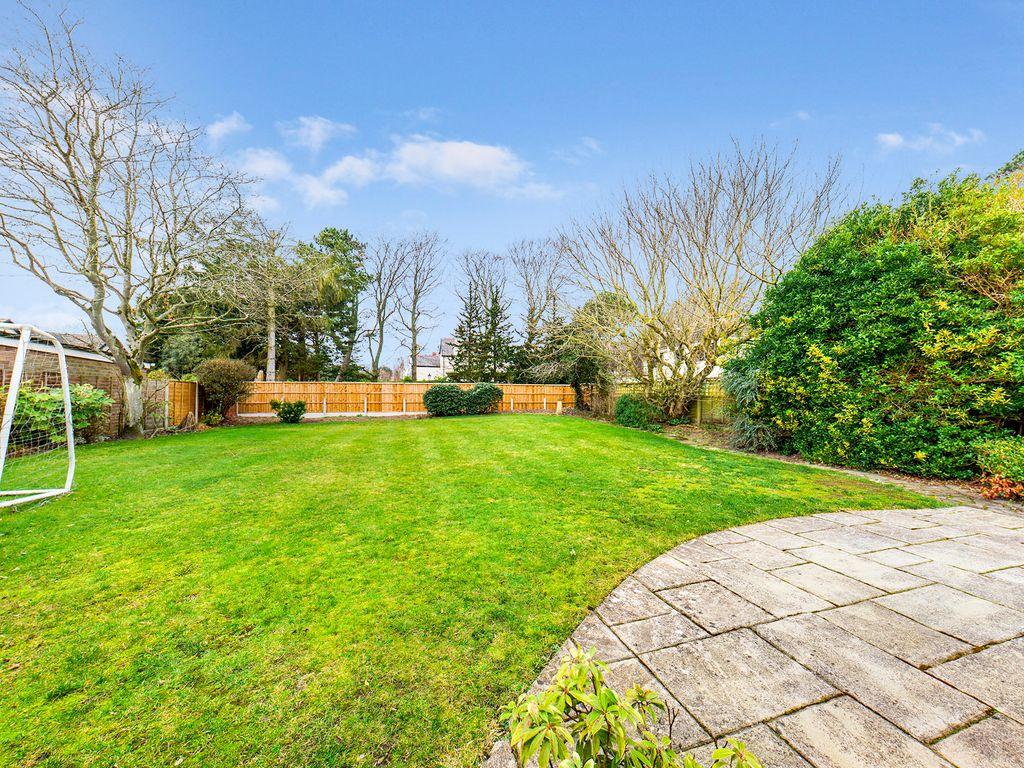 Garden at Back
