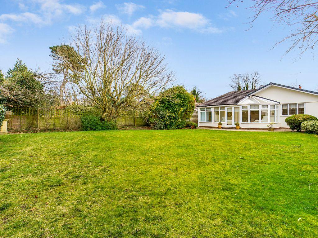 Garden at Back