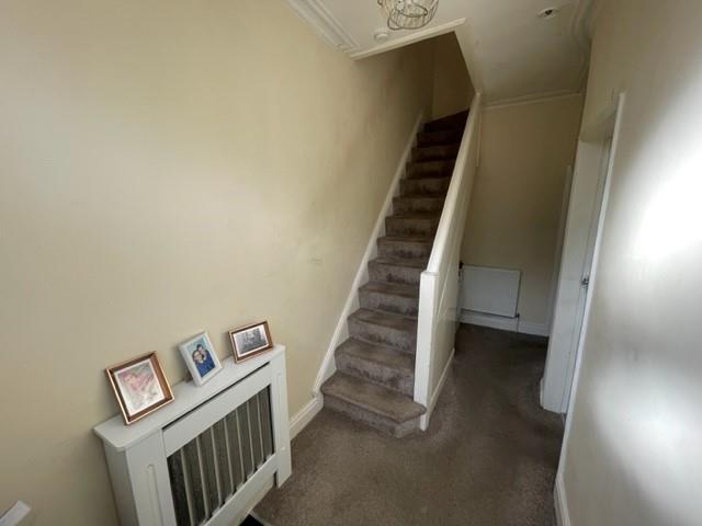 IMG11.jpg