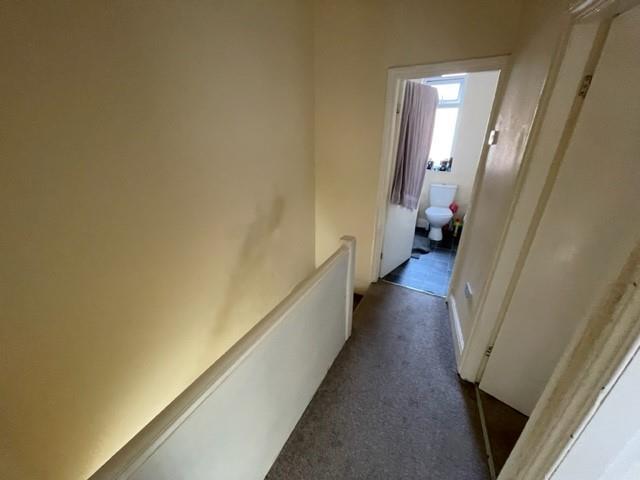 IMG08.jpg