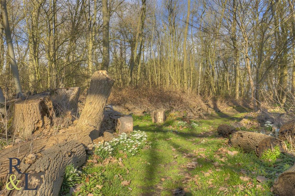 Widmerpool Park (15).jpg