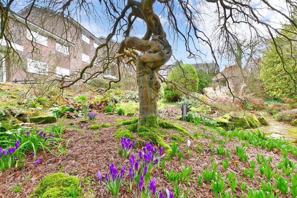 Communal Gardens