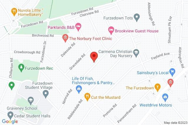 Google Maps Image