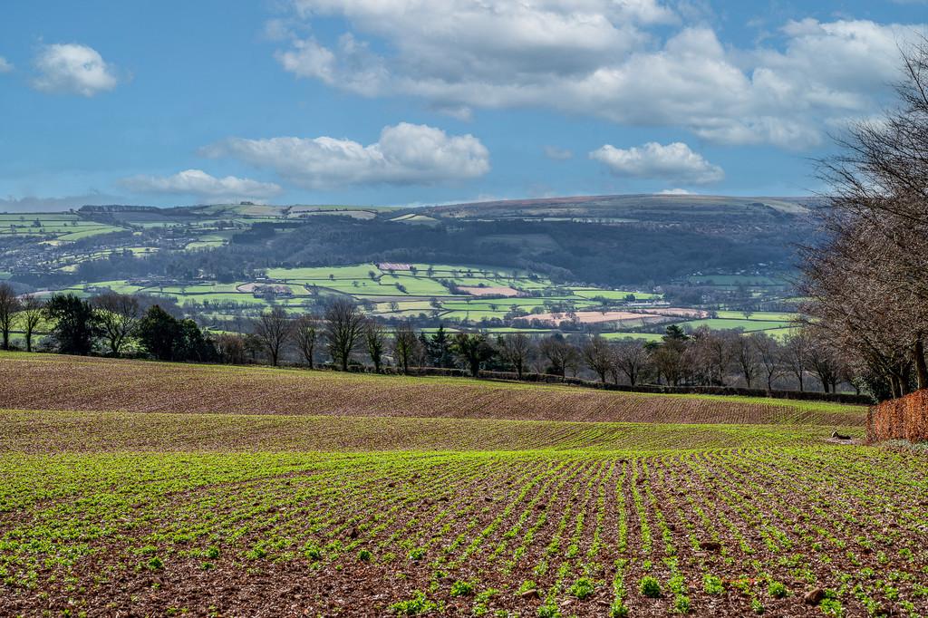 Long Lane, Wrington superb family home with panoramic views 4 bed